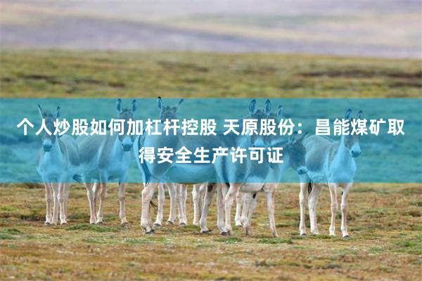 个人炒股如何加杠杆控股 天原股份：昌能煤矿取得安全生产许可证