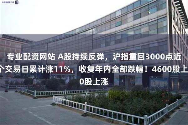 专业配资网站 A股持续反弹，沪指重回3000点近8个交易日累计涨11%，收复年内全部跌幅！4600股上涨
