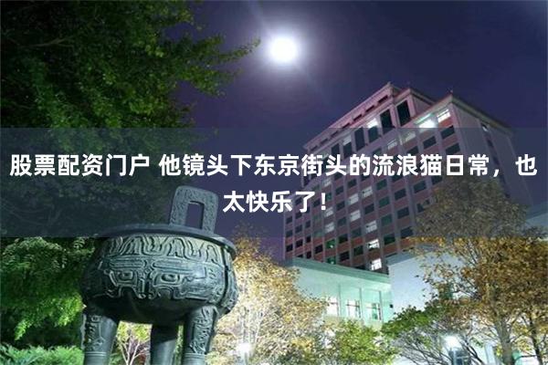 股票配资门户 他镜头下东京街头的流浪猫日常，也太快乐了！