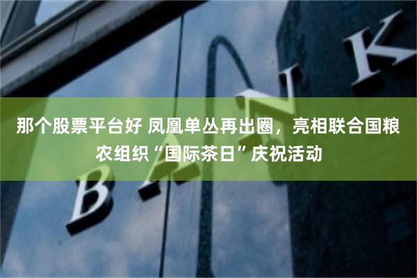 那个股票平台好 凤凰单丛再出圈，亮相联合国粮农组织“国际茶日”庆祝活动