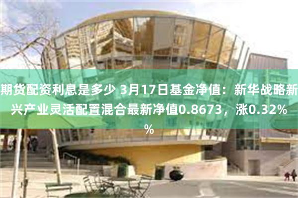 期货配资利息是多少 3月17日基金净值：新华战略新兴产业灵活配置混合最新净值0.8673，涨0.32%