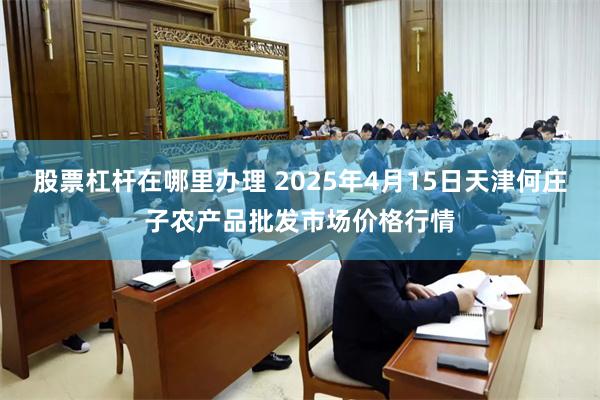 股票杠杆在哪里办理 2025年4月15日天津何庄子农产品批发市场价格行情