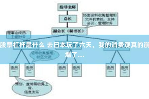 股票杠杆是什么 去日本玩了六天，我的消费观真的崩塌了...