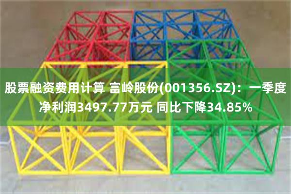 股票融资费用计算 富岭股份(001356.SZ)：一季度净利润3497.77万元 同比下降34.85%