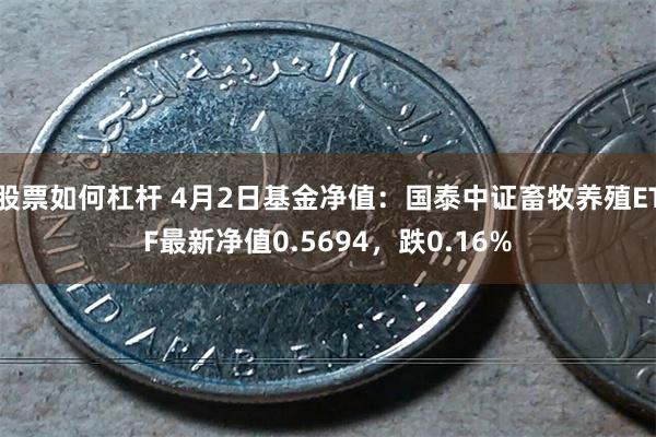 股票如何杠杆 4月2日基金净值：国泰中证畜牧养殖ETF最新净值0.5694，跌0.16%
