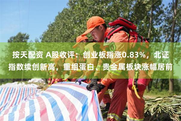 按天配资 A股收评：创业板指涨0.83%，北证指数续创新高，重组蛋白、贵金属板块涨幅居前
