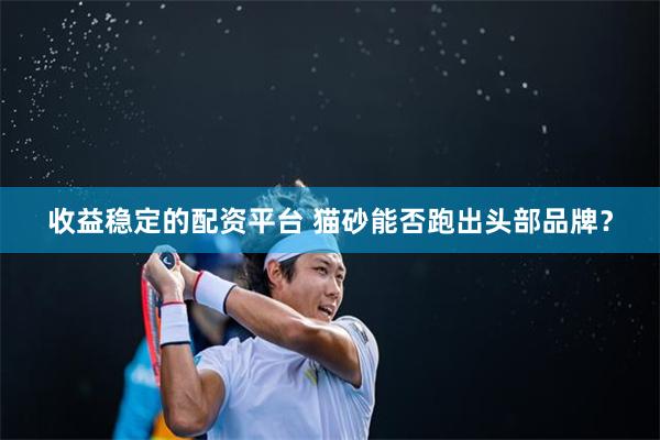 收益稳定的配资平台 猫砂能否跑出头部品牌？