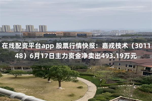在线配资平台app 股票行情快报：嘉戎技术（301148）6月17日主力资金净卖出493.19万元