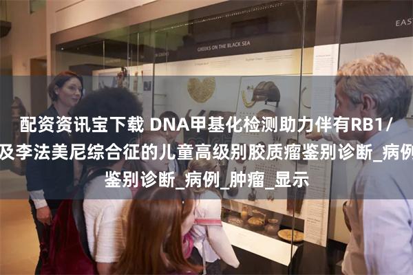 配资资讯宝下载 DNA甲基化检测助力伴有RB1/SETD2变异及李法美尼综合征的儿童高级别胶质瘤鉴别诊断_病例_肿瘤_显示