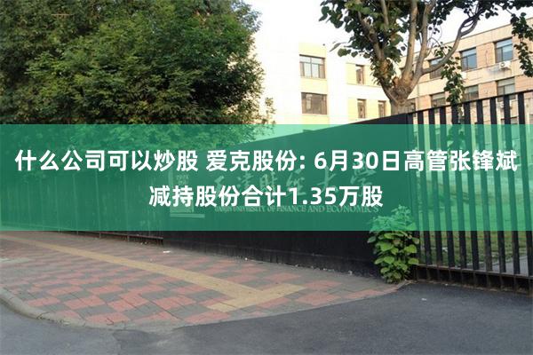 什么公司可以炒股 爱克股份: 6月30日高管张锋斌减持股份合计1.35万股